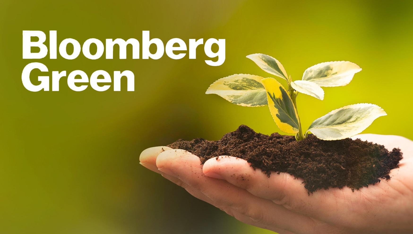 Bloomberg Green