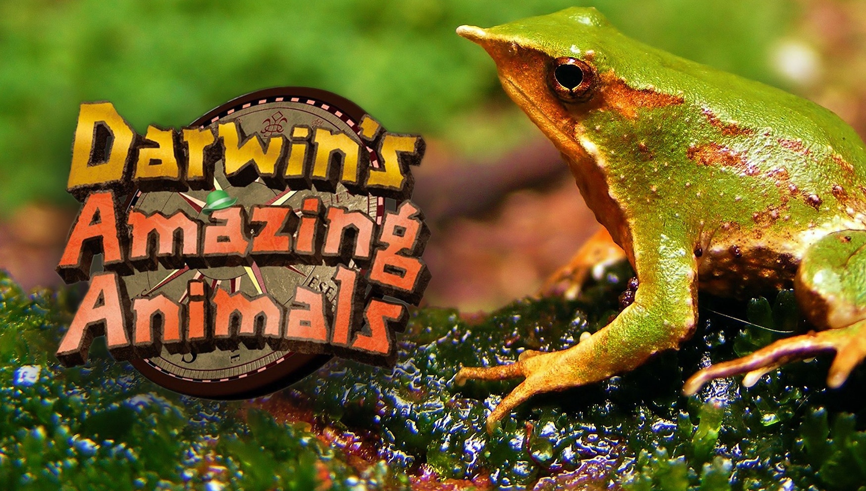 Darwin's Amazing Animals