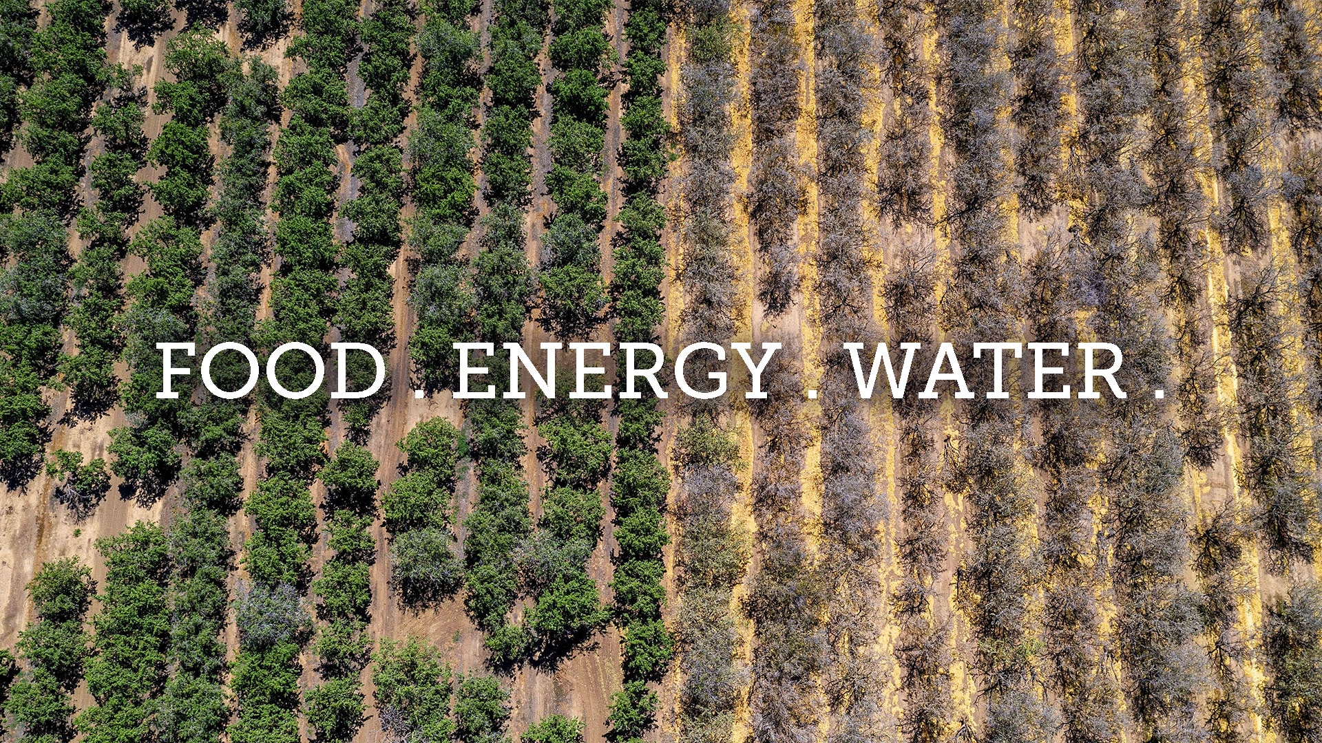 Food . Energy . Water .